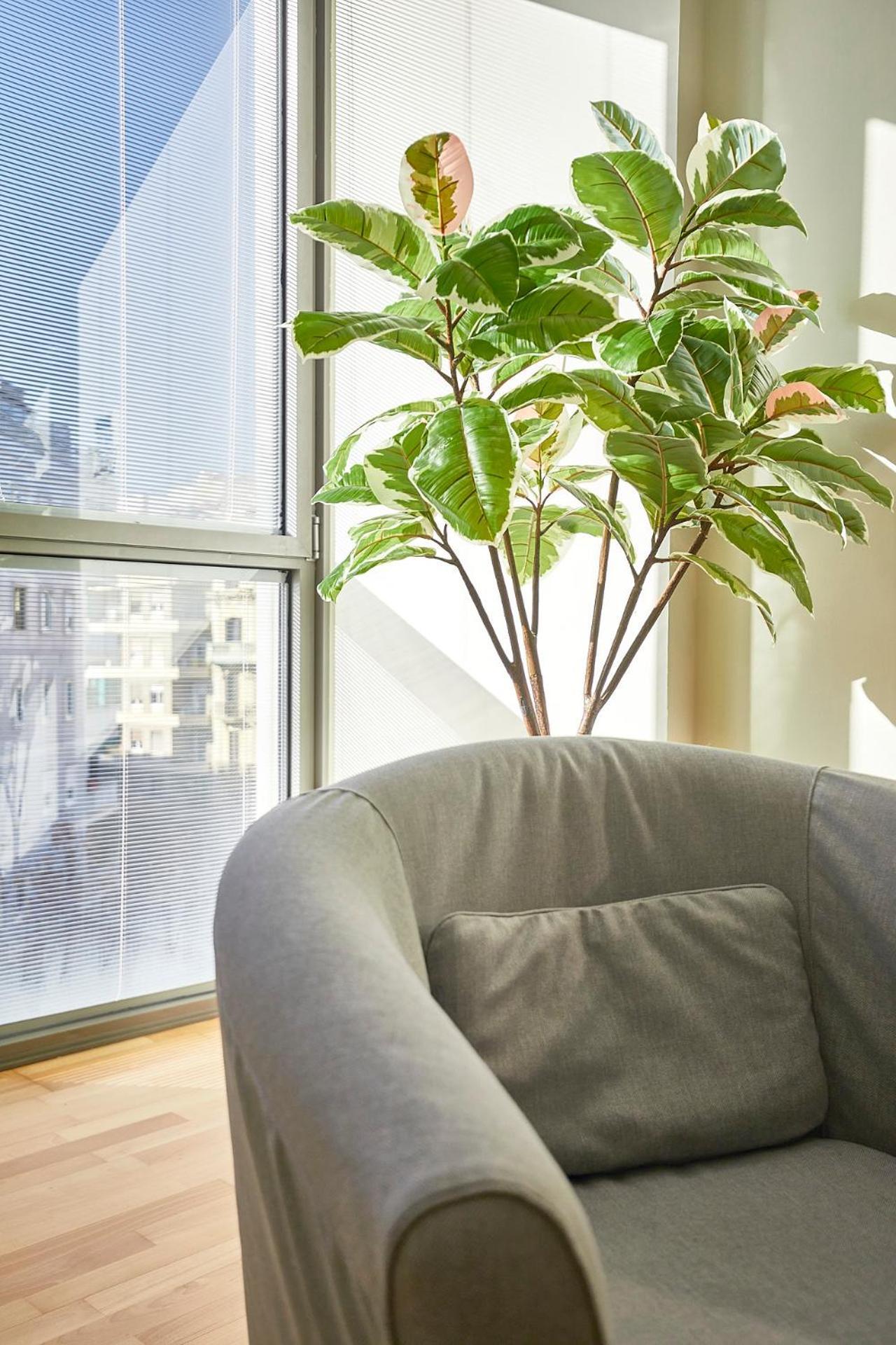 Bbarcelona Placa Universitat Flat Екстериор снимка